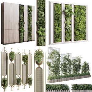 Collection 5 Product indooor plant and fitowall