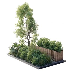 Garden Plants Set In A Box - Outdoor Set 127