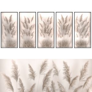 Phytobox Pampas Grass, Dried Flowers Of Plants