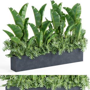 Indoor Plant Set003