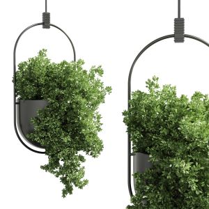 Indoor Plants Hanging Pot Metal Vase 12