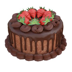 Chocolate Strawberry Cake