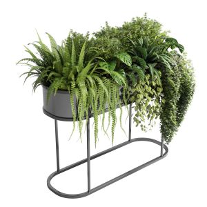 Collection Indoor Plant 140 Stand Pot Bax Metal