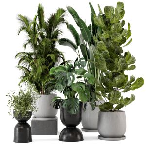 Indoor Plants In Ferm Living Bau Pot Large - 230