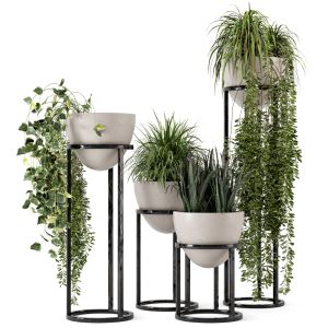 Indoor Plants In Rusty Concrete Pot Set 231