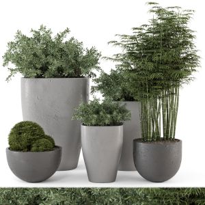 Outdoor Plants Bush In Rusty Concrete Pot -set 232