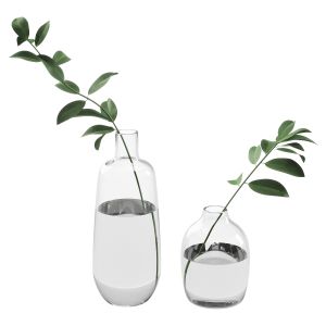 Branch In Bottle Indoor Plant