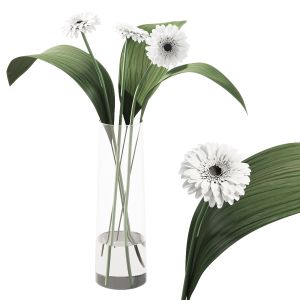 Flowers And Leaves In Vase Indoor Decor Plant