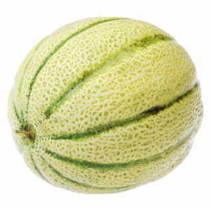 Melon Cantaloupe