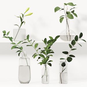 Collection Of Indoor Decor Plants