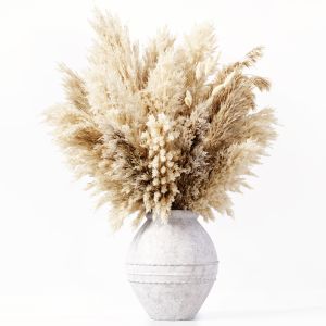 Dried Pampas Grass