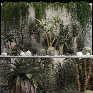 Collection Of Tropical Desert Plants From Cactus