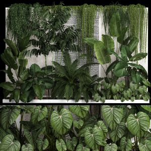 Garden And Tropical Flowerbed With Hanging Plants