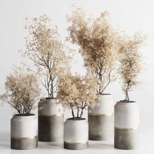 Indoor Plant Autumn Set 304 Concrete Vase Plant