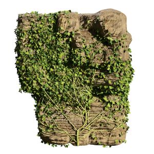 Ivy-covered Rock 3d Model