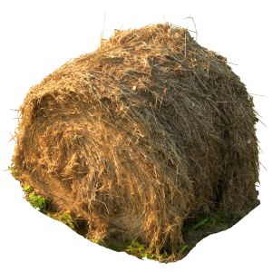 Round Bale Of Hay