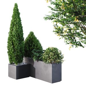 Hq Tree And Bush Garden Box Outdoor  Vol 04