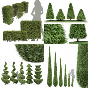 5 Different SETS of Bush. SET VOL61