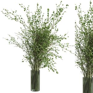 Branches Plant With Galss Vase Green - Bouquet 40