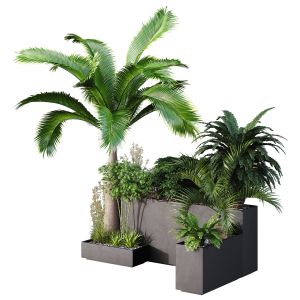 Hq Tree And Bush Garden Box Outdoor  Vol 09