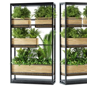 Indoor Hanging Plants In Metal Stand Set56