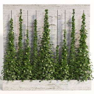 Indoor Vertical Green Wall Garden01