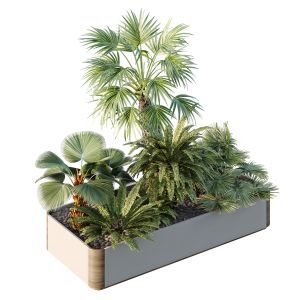 Hq Tree And Bush Garden Box Outdoor  Vol 12