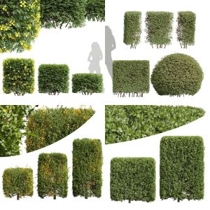 5 Different SETS of Bush. SET VOL65