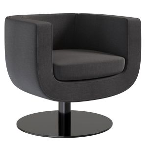 Tulip Armchair By B&b Italia