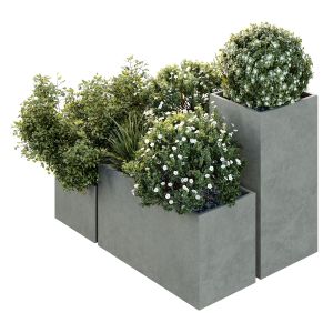 Hq Tree And Bush Garden Box Outdoor  Vol 10