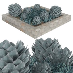 High-quality Succulent Garden Square Planter 3d Mo