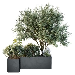 Hq Tree And Bush Garden Box Outdoor  Vol 13