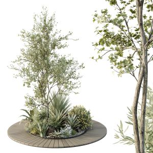 Hq Tree And Bush Garden Box Outdoor  Vol 15