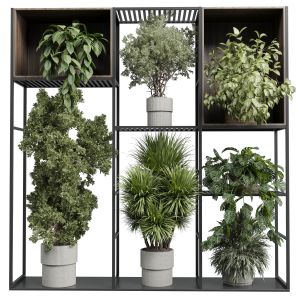 Standing Metal Shelf With A Set Of Plants In Woode