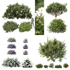 5 Different SETS of Bush. SET VOL77