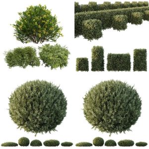 5 Different SETS of Bush. SET VOL84