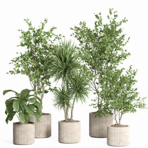 Indoor Plant Set 59-concrete Pot