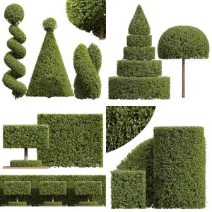 5 Different SETS of Bush. SET VOL86