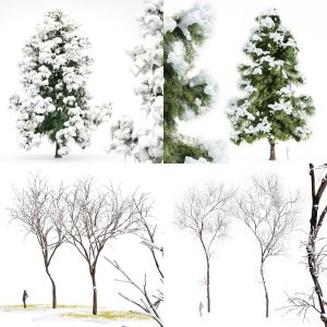 5 Different SETS of Tree. SET VOL87