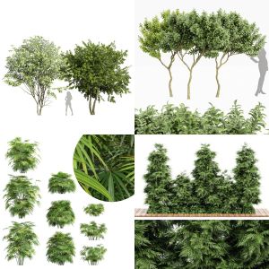 5 Different SETS of Tree Bush. SET VOL90