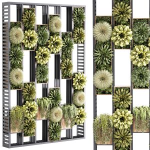 Wall Plants Set Partition In Wooden Frame