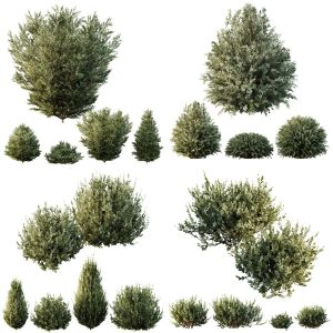 5 Different SETS of Bush. SET VOL87