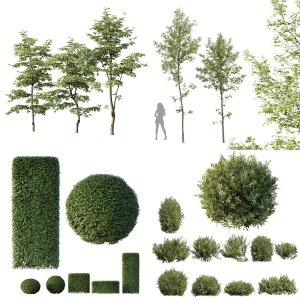 5 Different SETS of Tree Bush. SET VOL92