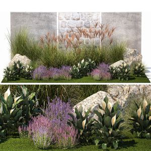 Garden Lavender Bushes Spathiphyllum Miscanthus