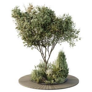 Hq Tree And Bush Garden Box Outdoor  Vol 16