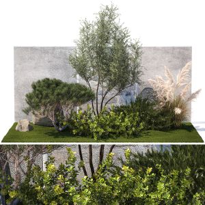 Garden Juniper Pampas Pine Topiary Berberis