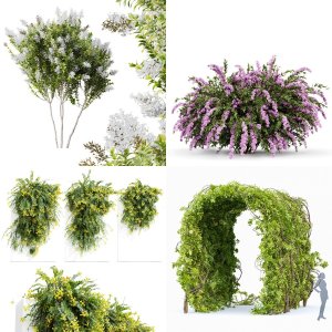 5 Different SETS of Bush. SET VOL100