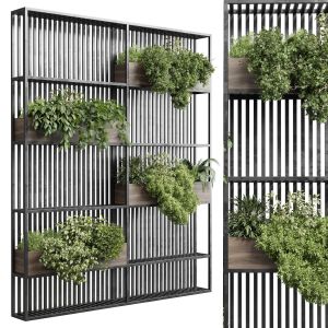 Stand Metal Shelf With Wall Plant - Hanging Plants