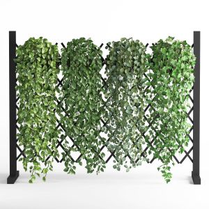 Indoor Vertical Green Wall Garden02