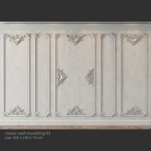 Classic Wall Moulding 03